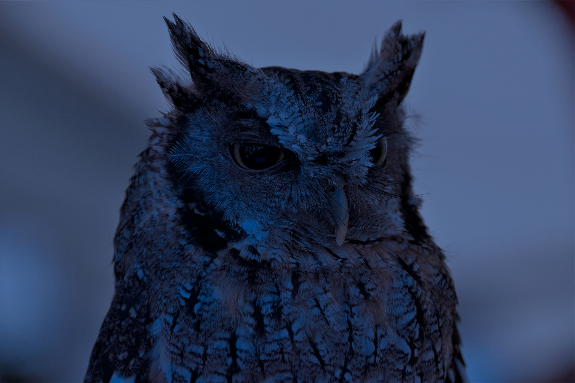 기후 기사 이미지